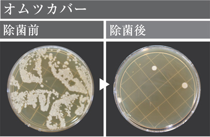 除菌効果（オムツカバー）